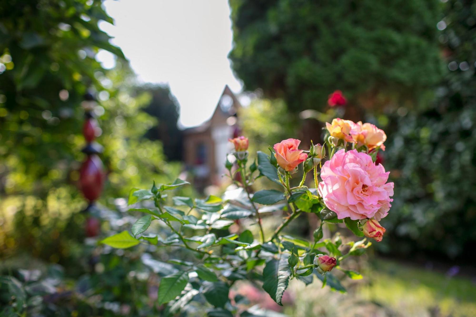 Ferienhaus Jasmin Neuruppin Exteriér fotografie